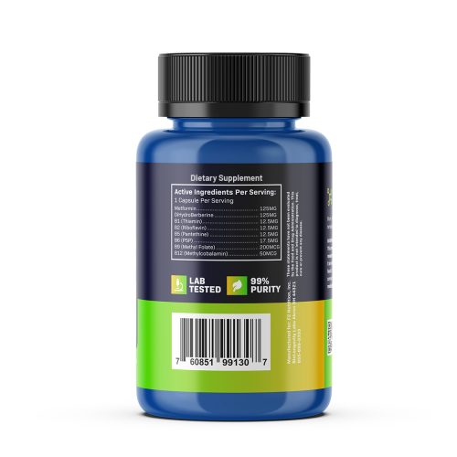 BioAbsorb 3 1a