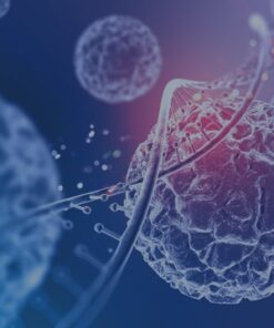 Research Peptides Vials